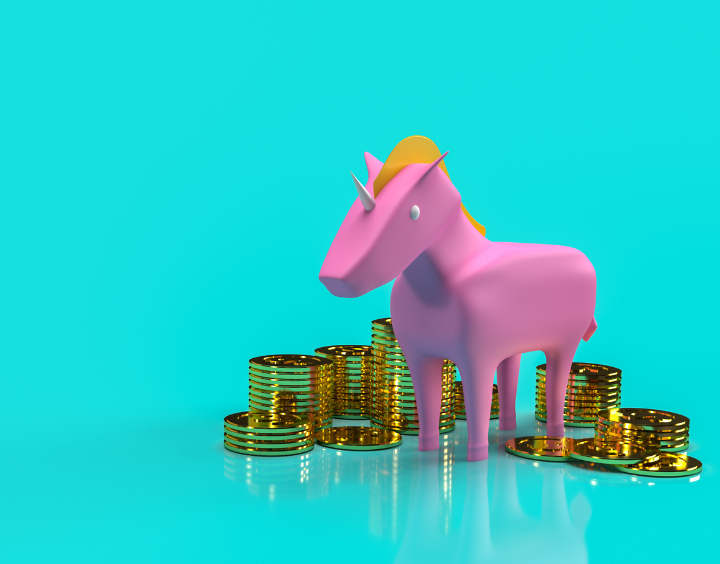 Startup The Unicorn Obsession: When Valuation Becomes a Distraction